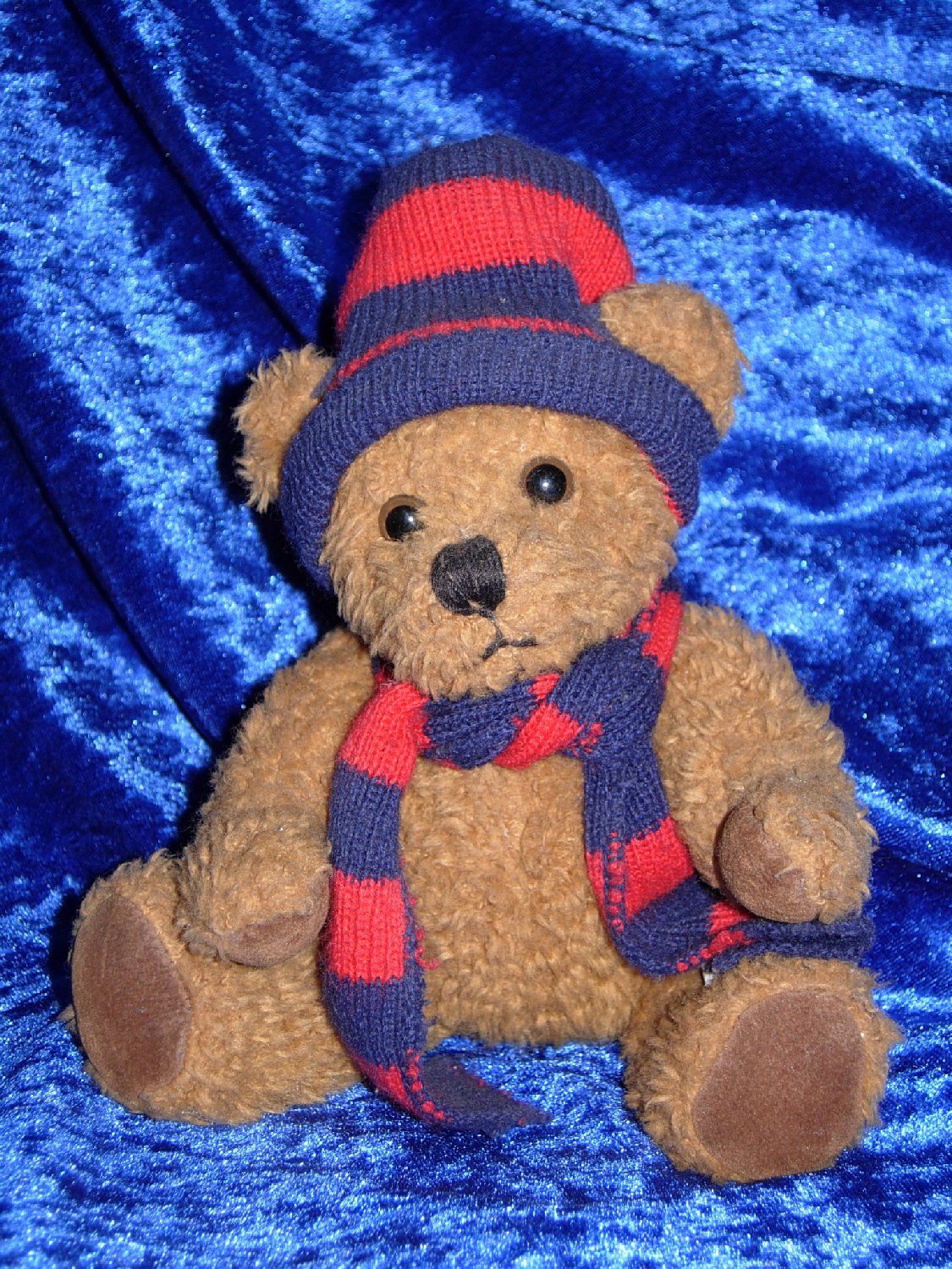 Winterbaer